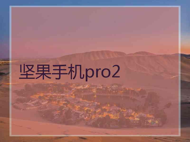 坚果手机pro2