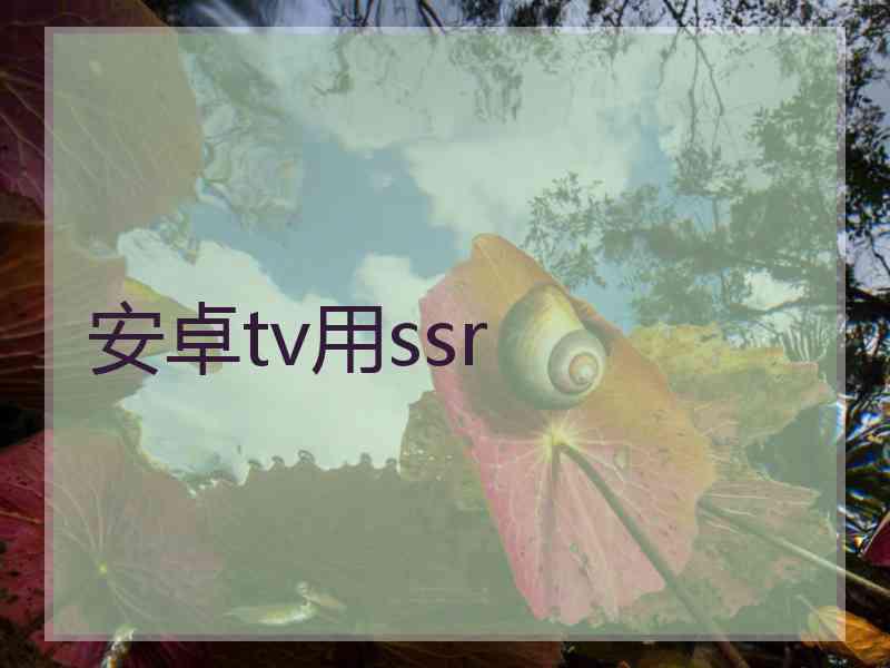 安卓tv用ssr