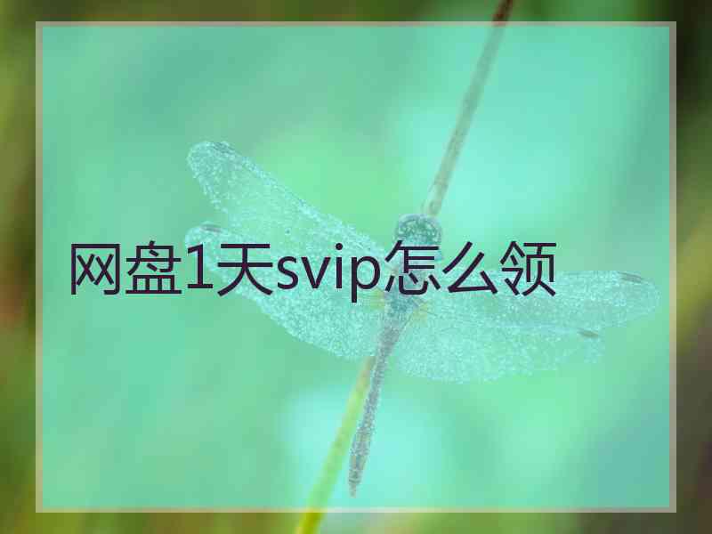 网盘1天svip怎么领