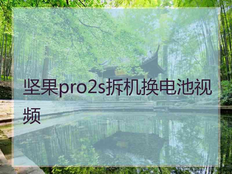 坚果pro2s拆机换电池视频