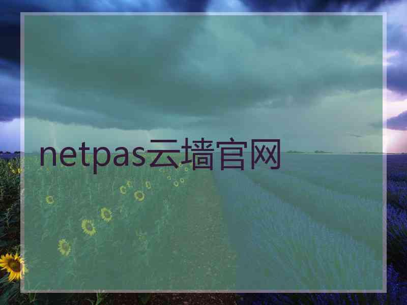 netpas云墙官网