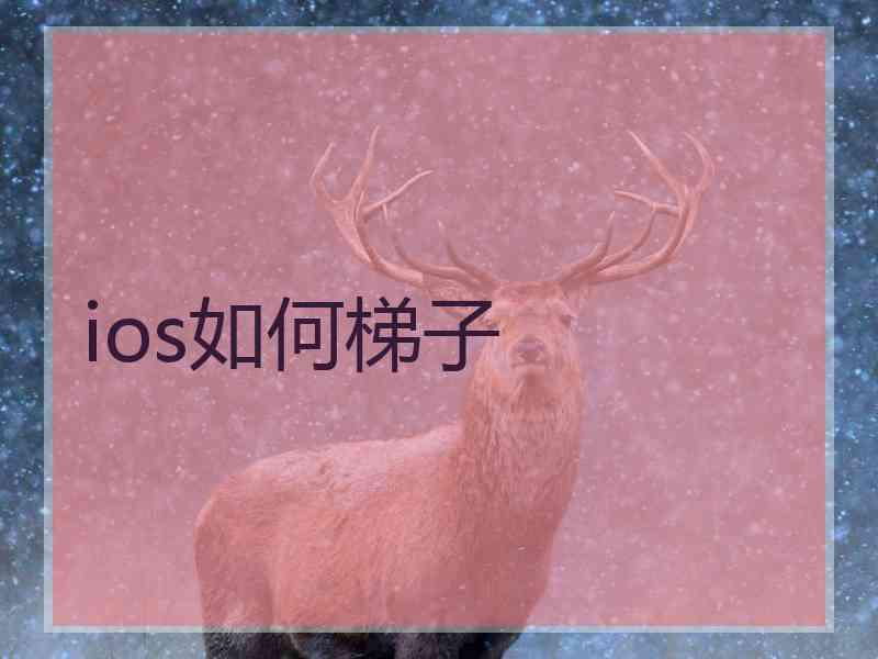 ios如何梯子