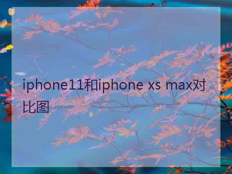 iphone11和iphone xs max对比图