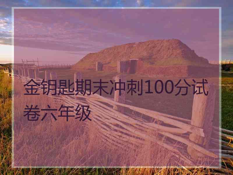 金钥匙期末冲刺100分试卷六年级