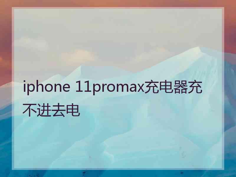 iphone 11promax充电器充不进去电