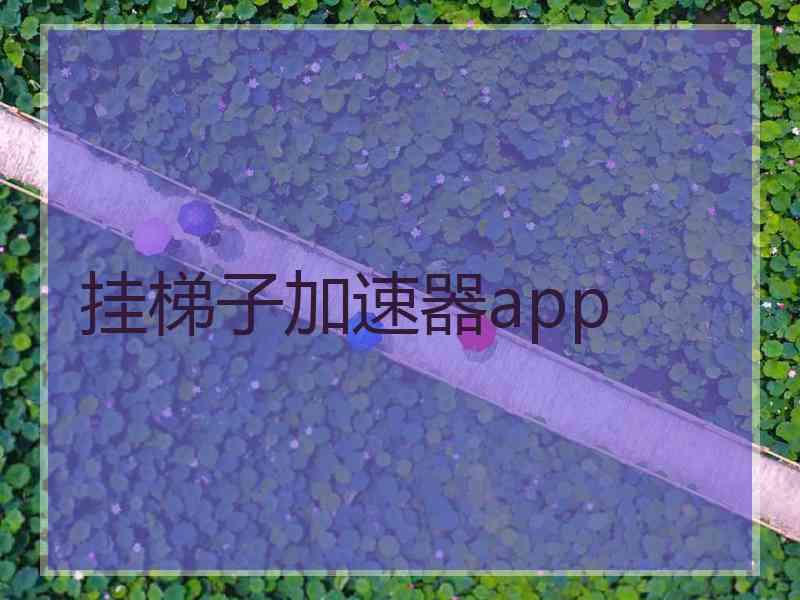 挂梯子加速器app