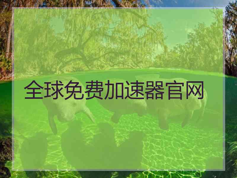 全球免费加速器官网