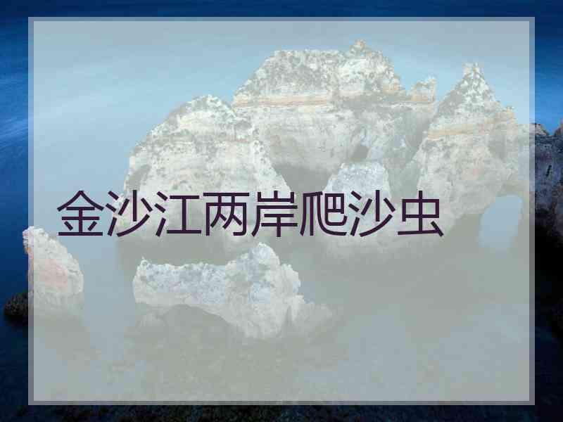 金沙江两岸爬沙虫