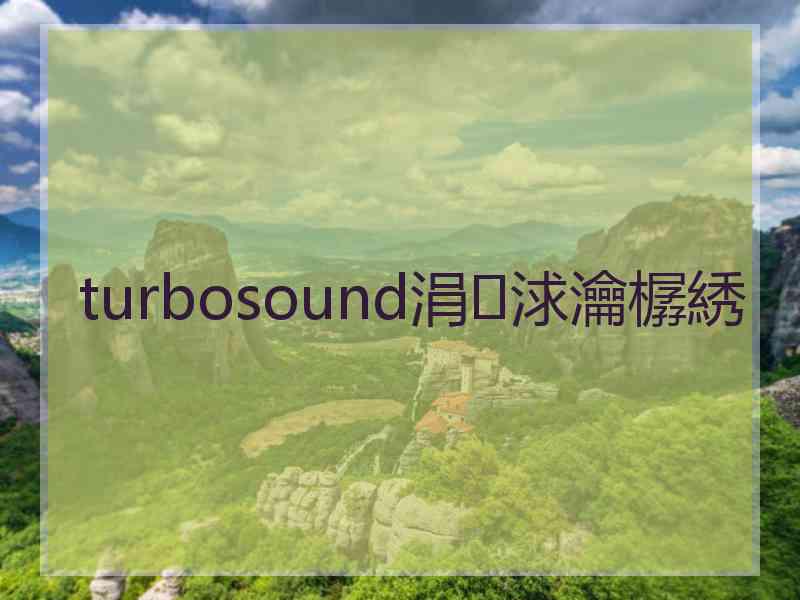 turbosound涓浗瀹樼綉