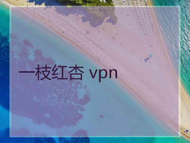 一枝红杏 vpn