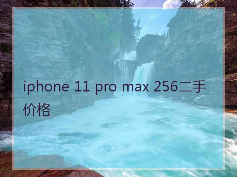 iphone 11 pro max 256二手价格