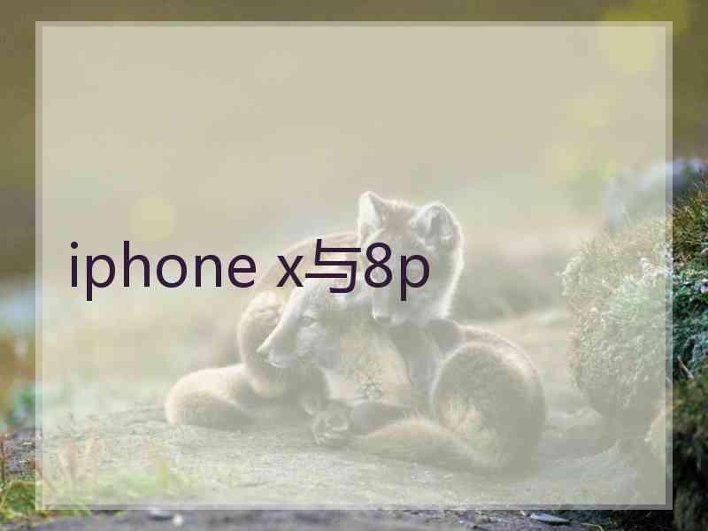 iphone x与8p