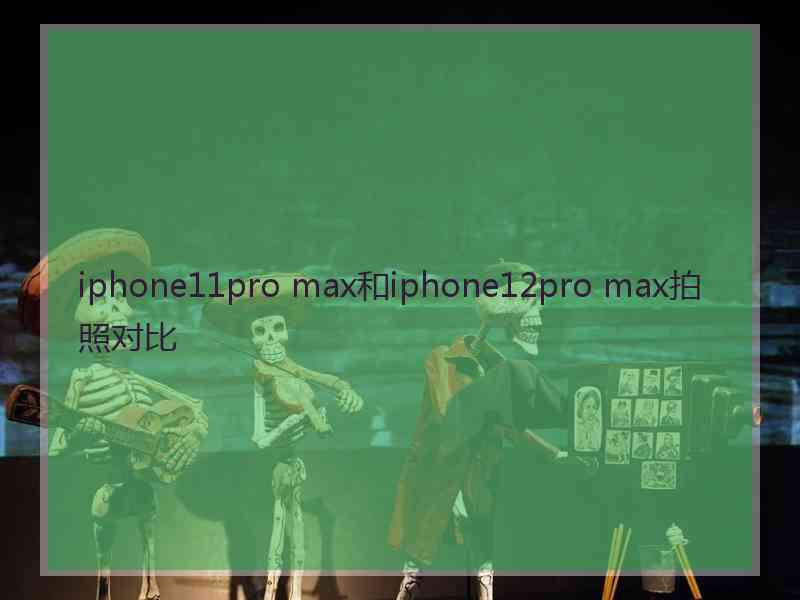 iphone11pro max和iphone12pro max拍照对比