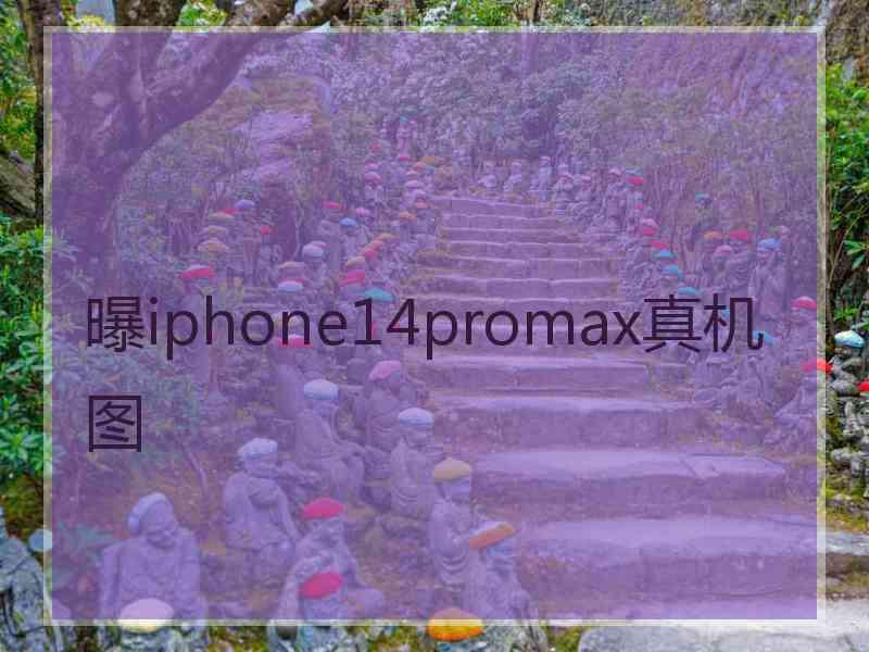 曝iphone14promax真机图