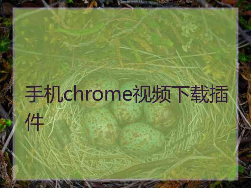 手机chrome视频下载插件