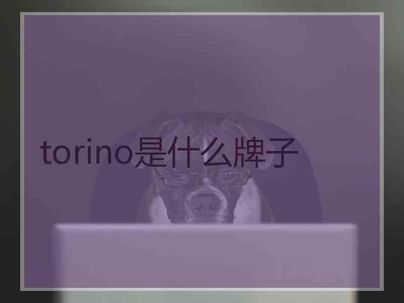 torino是什么牌子