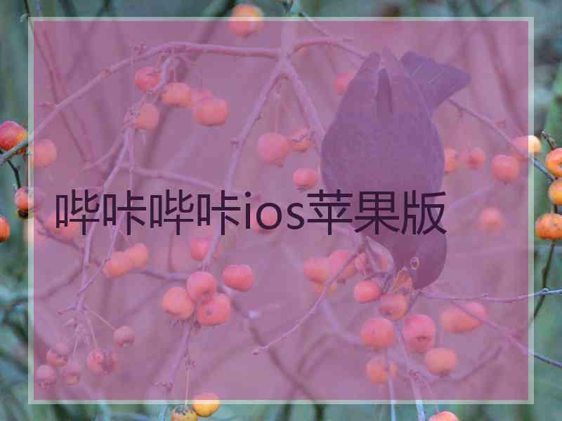 哔咔哔咔ios苹果版