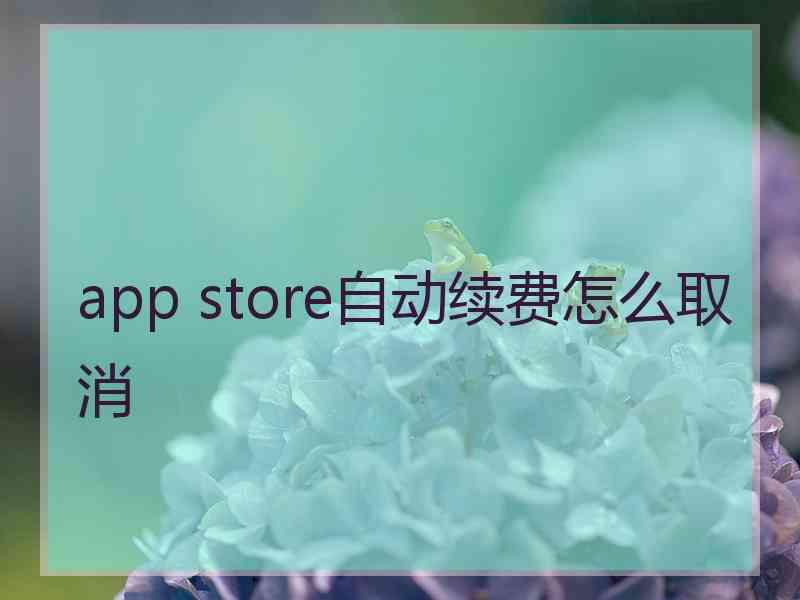 app store自动续费怎么取消