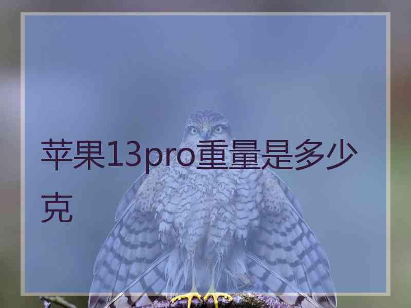 苹果13pro重量是多少克