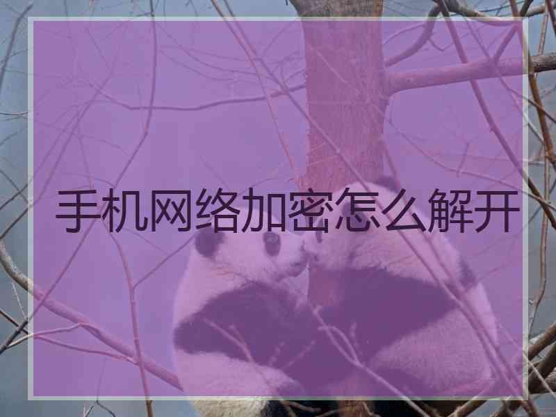 手机网络加密怎么解开