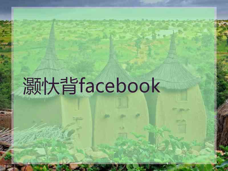 灏忕背facebook