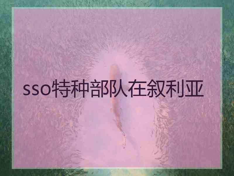 sso特种部队在叙利亚