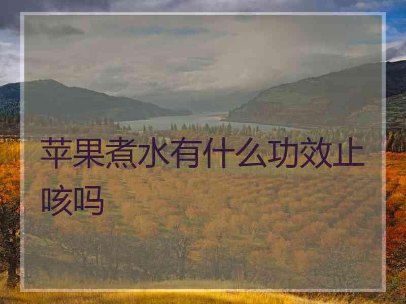 苹果煮水有什么功效止咳吗