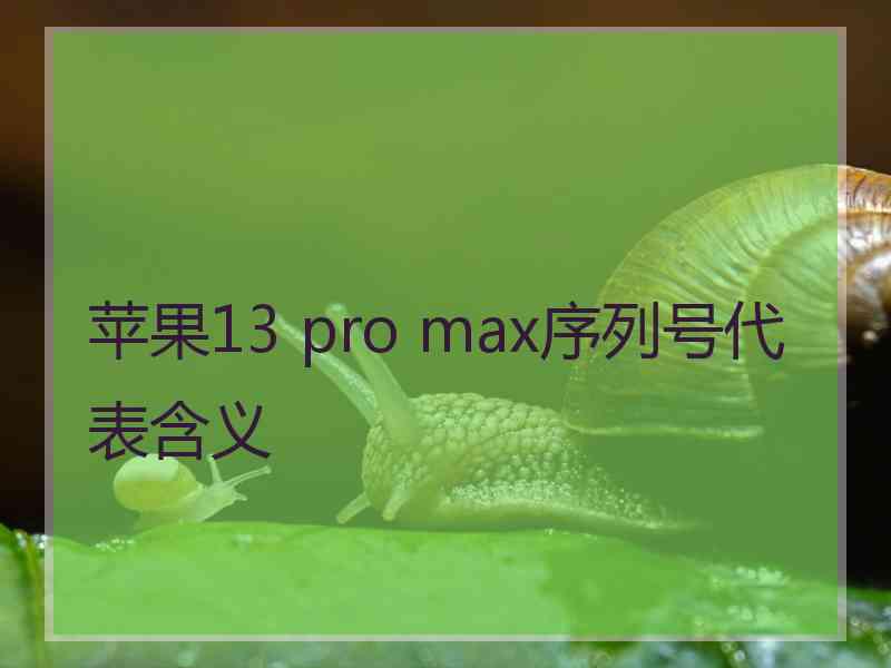 苹果13 pro max序列号代表含义