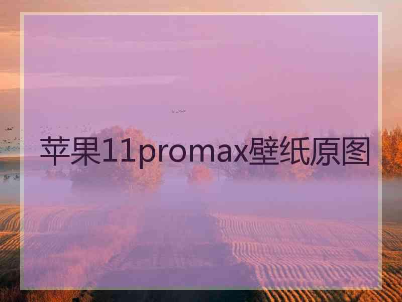 苹果11promax壁纸原图