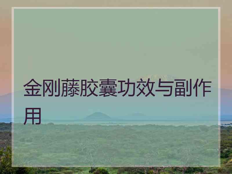 金刚藤胶囊功效与副作用