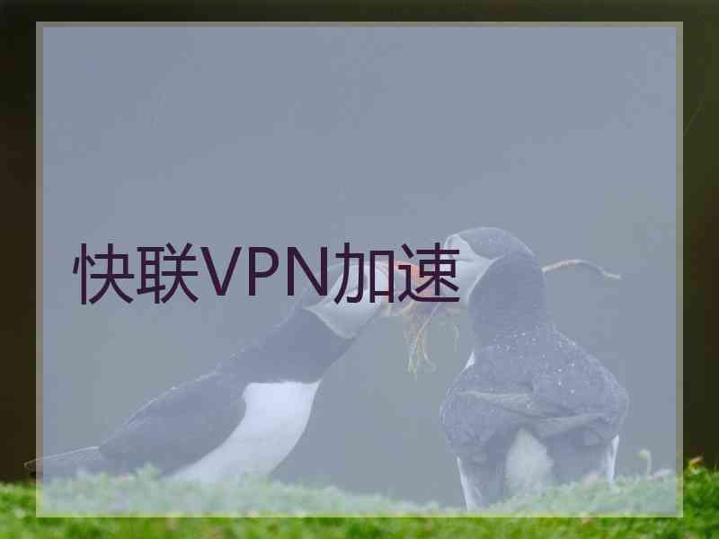 快联VPN加速