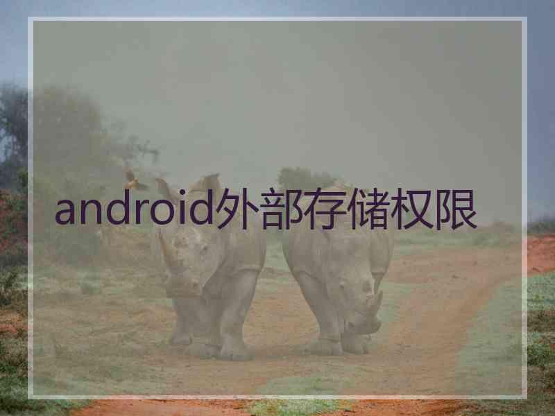 android外部存储权限