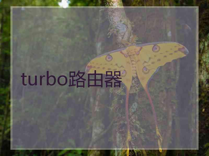 turbo路由器