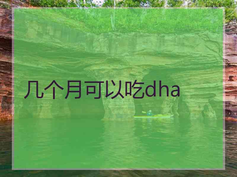 几个月可以吃dha