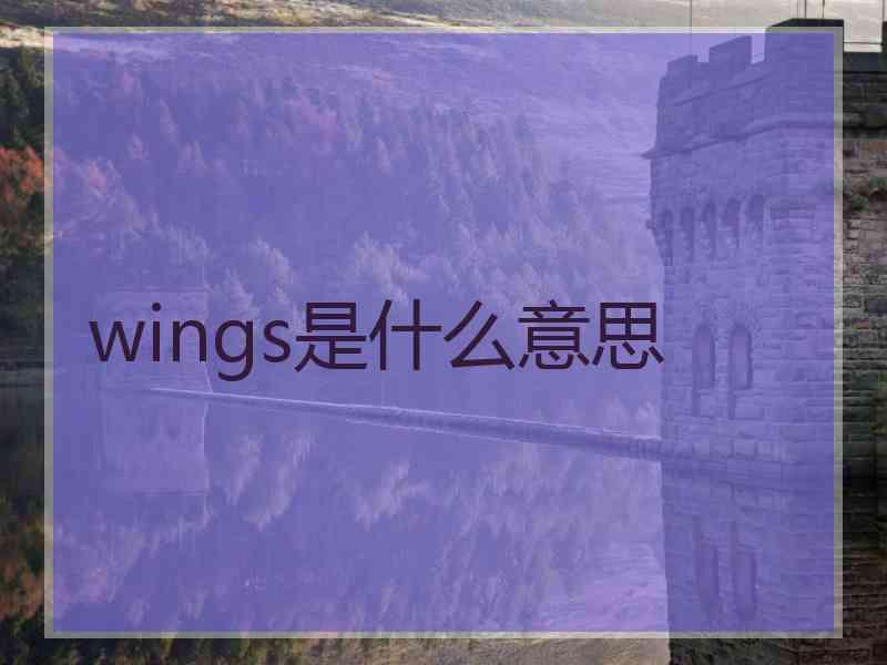 wings是什么意思