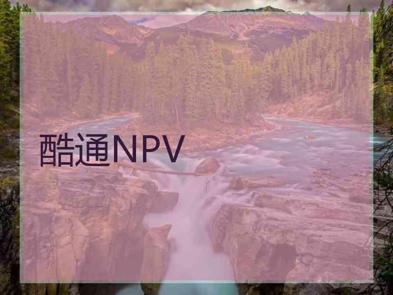 酷通NPV