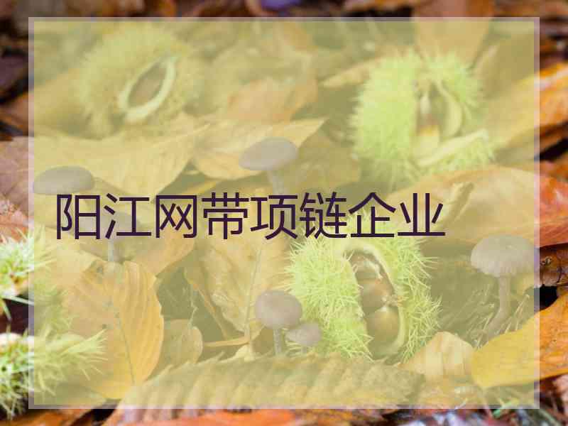 阳江网带项链企业