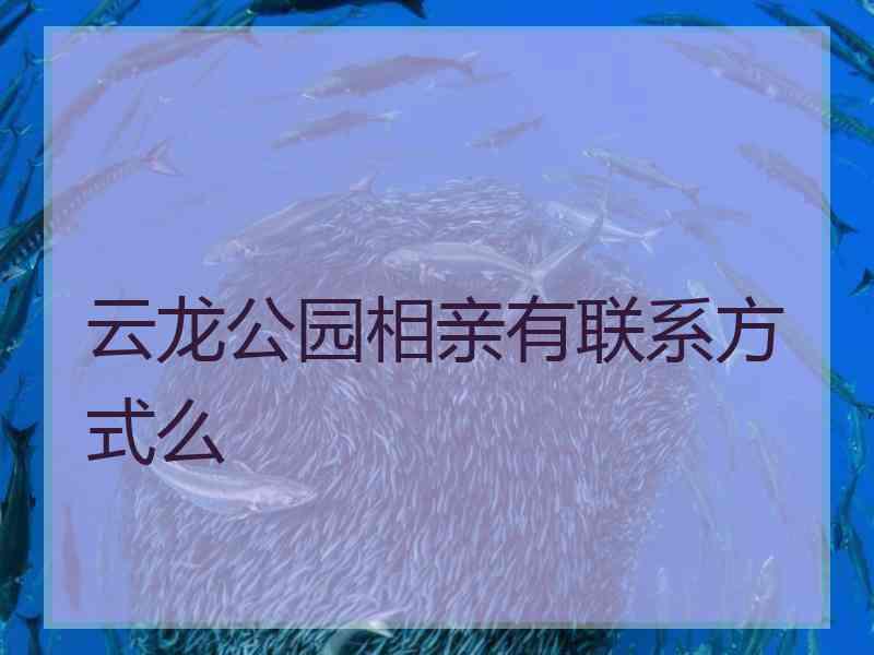 云龙公园相亲有联系方式么