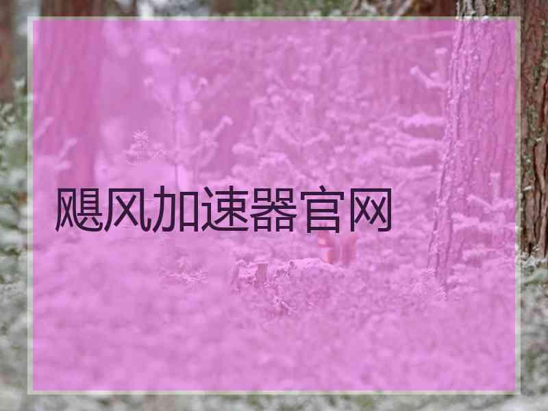 飓风加速器官网