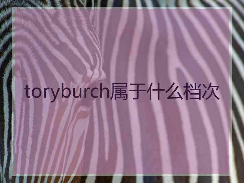 toryburch属于什么档次