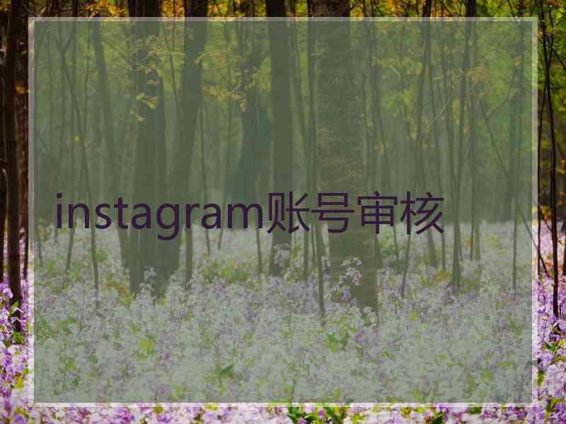 instagram账号审核