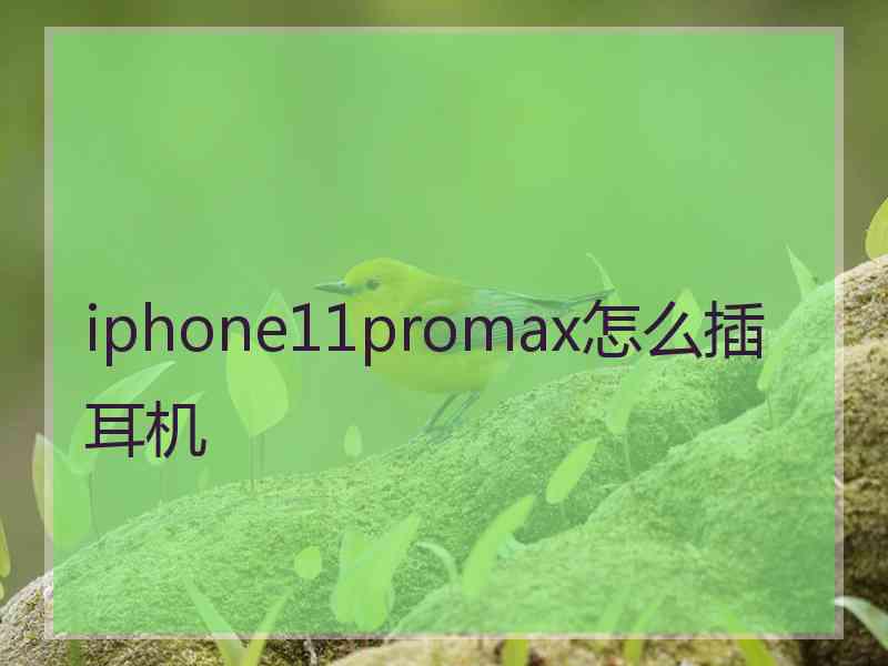 iphone11promax怎么插耳机