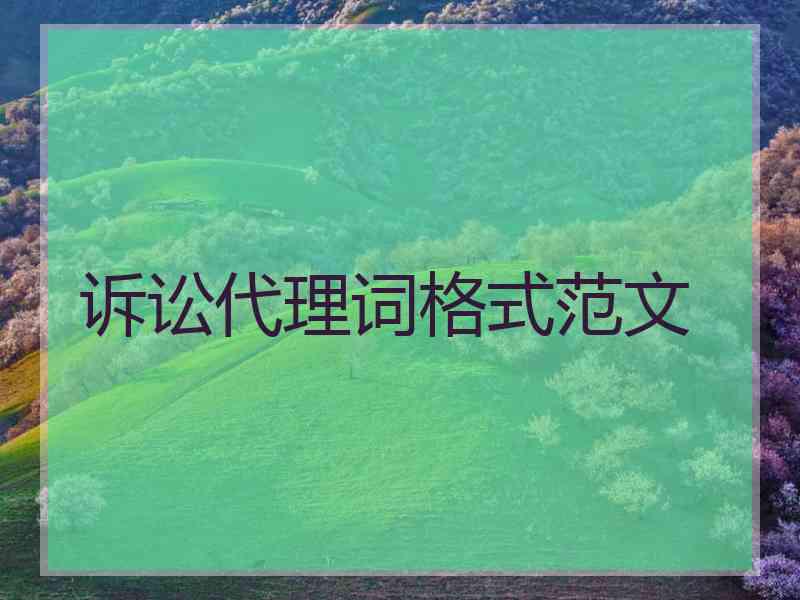 诉讼代理词格式范文