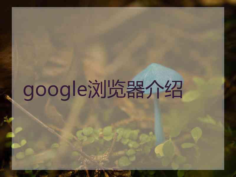 google浏览器介绍