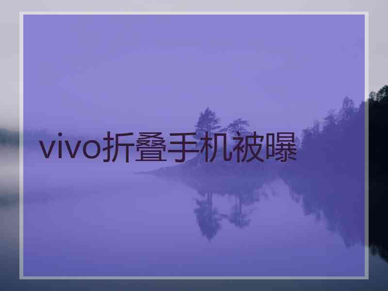 vivo折叠手机被曝