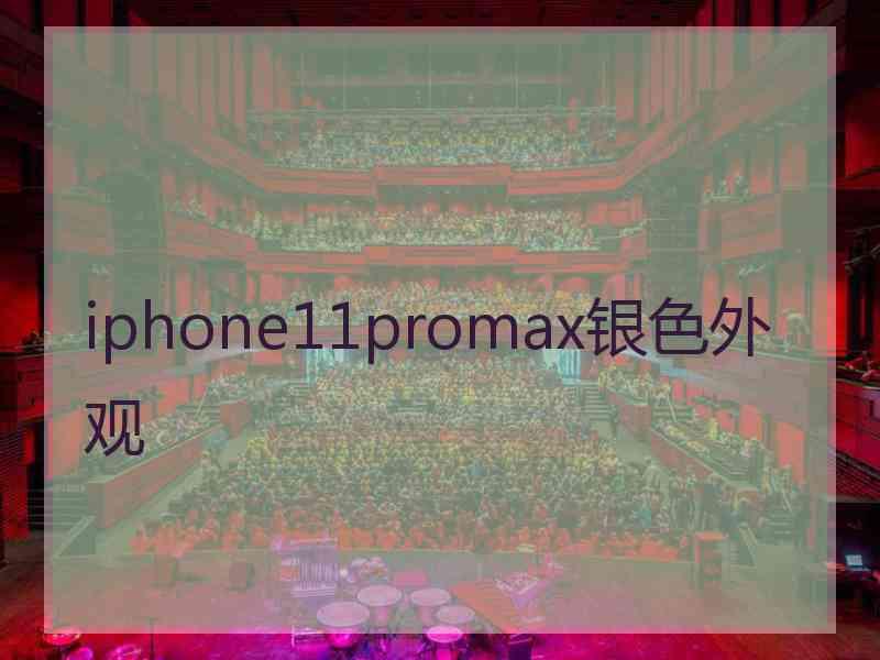 iphone11promax银色外观