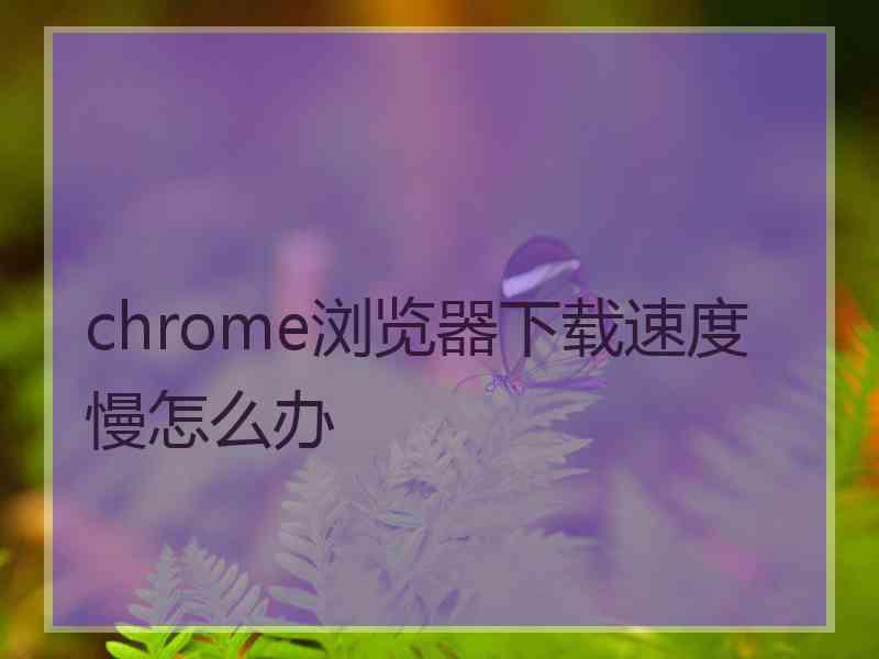 chrome浏览器下载速度慢怎么办