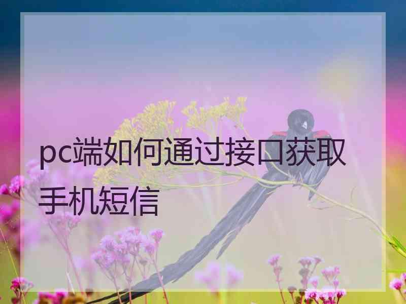 pc端如何通过接口获取手机短信