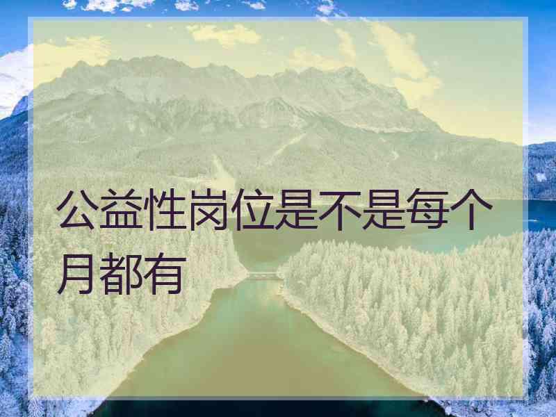 公益性岗位是不是每个月都有