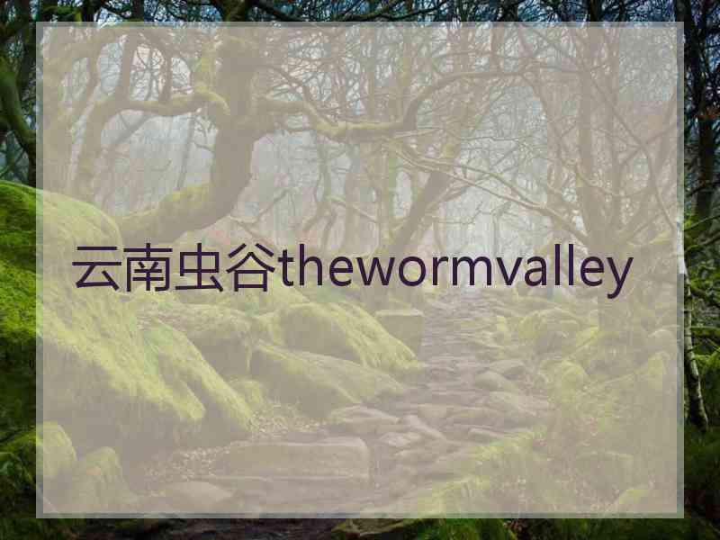 云南虫谷thewormvalley